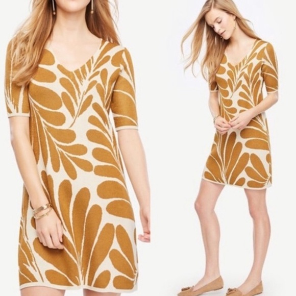 Ann Taylor Dresses & Skirts - NWOT Ann Taylor Sweater Dress